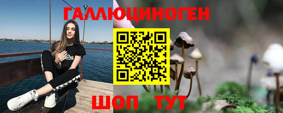 Галлюциногенные грибы мицелий Владикавказ